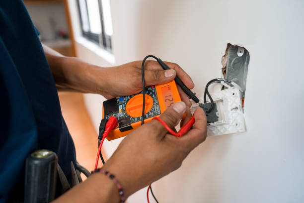 Best Licensed Electrician  in Brown City, MI