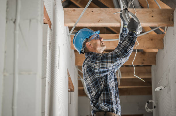 Best Emergency Electrician Near Me  in Brown City, MI