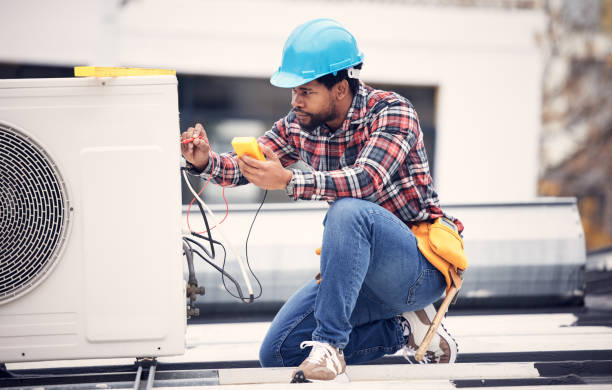 Best Local Electrician Companies  in Brown City, MI