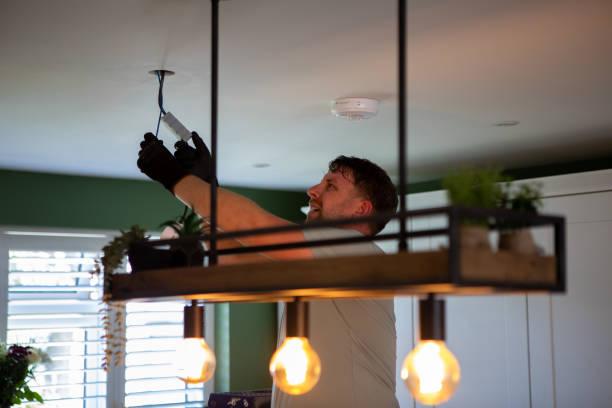 Best Electrical System Inspection  in Brown City, MI