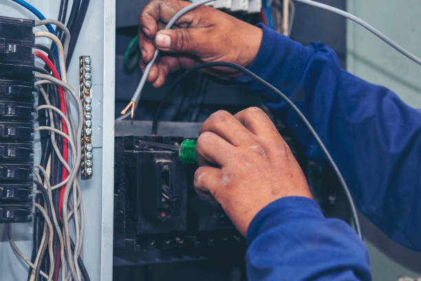 Best Best Electricians Near Me  in Brown City, MI