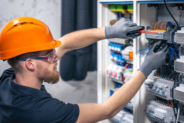 Best Electrical Upgrades for Homes  in Brown City, MI