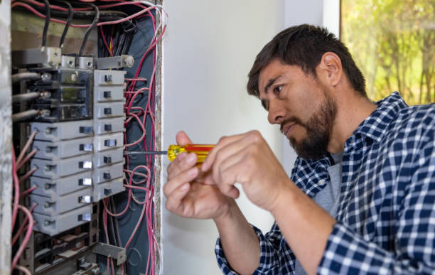 Best Home Electrical Repair  in Brown City, MI